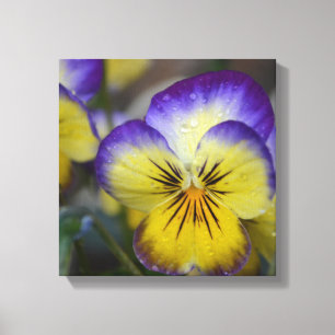 Lila und gelbe Blume gezackte Leinwand