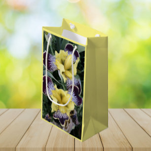 Lila und gelbe Ire Kleine Geschenktüte