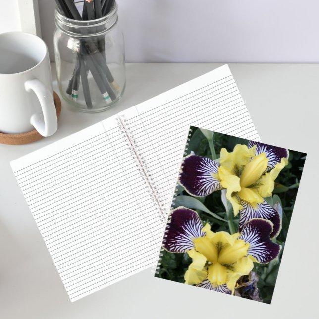 Lila und gelbe Ire Notizbuch (In Situ)
