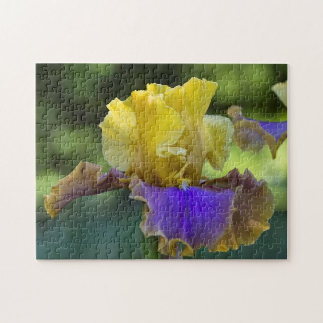 Lila und gelbe Iris-Puzzlespiel Puzzle (Horizontal)