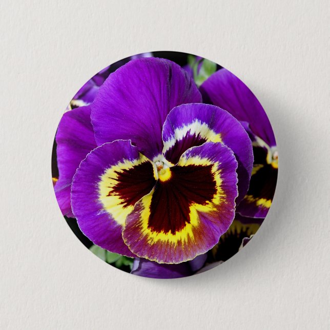 Lila und gelbe Pansy-Blume Button (Vorderseite)