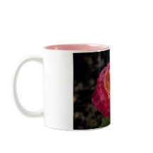 Lila und gelbe Rosen-Kaffee-Tasse