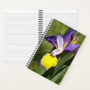 Lila und gelbe sibirische Schwertlilie floral Notizbuch