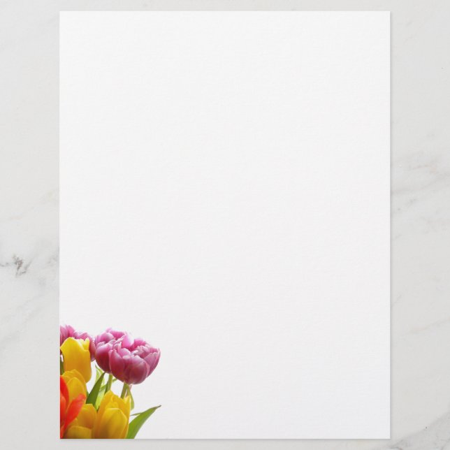 Lila und gelbe Tulpen Letterhead (Vorderseite)
