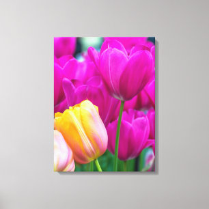 Lila und gelbe Tulpen, naher Leinenprint Leinwanddruck