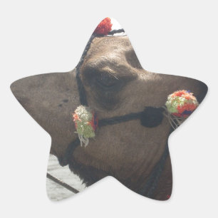 Lila und gelbes Kaleidoskop Stern-Aufkleber