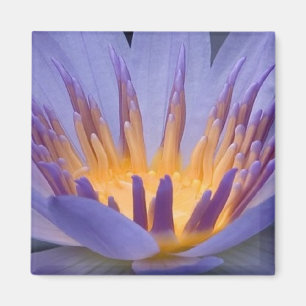 Lila und goldene Blume - Magnet