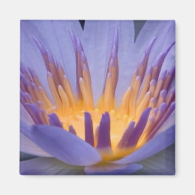 Lila und goldene Blume - Magnet (Vorne)