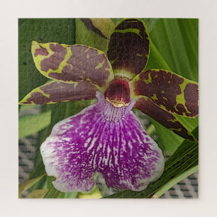 Lila und grüne gepunktete Orchidee Puzzle