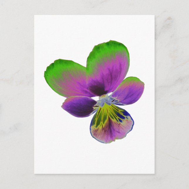 Lila und grüne Pansy Postkarte (Vorderseite)