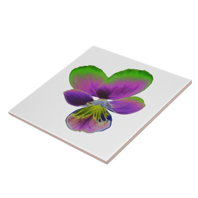 Lila und grüne Pansy Tile Fliese (Seite)