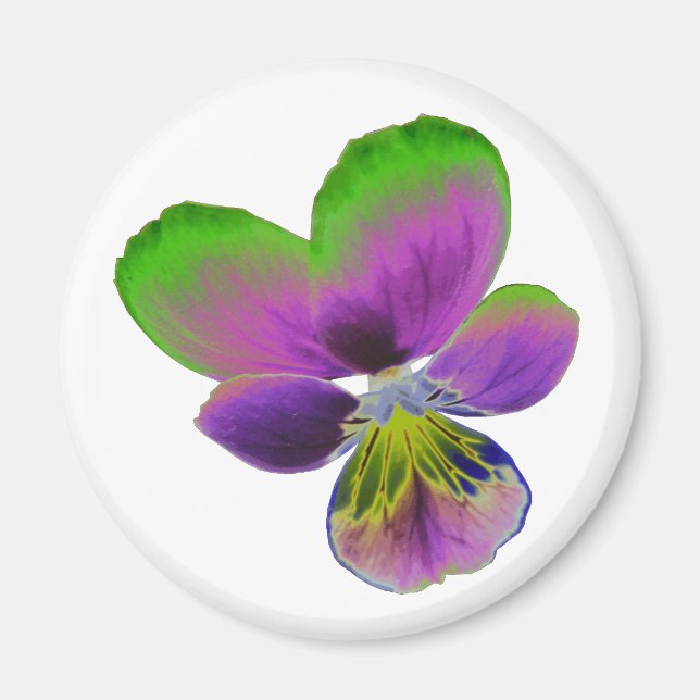 Lila und grünes Pansy Magnet (Vorne)