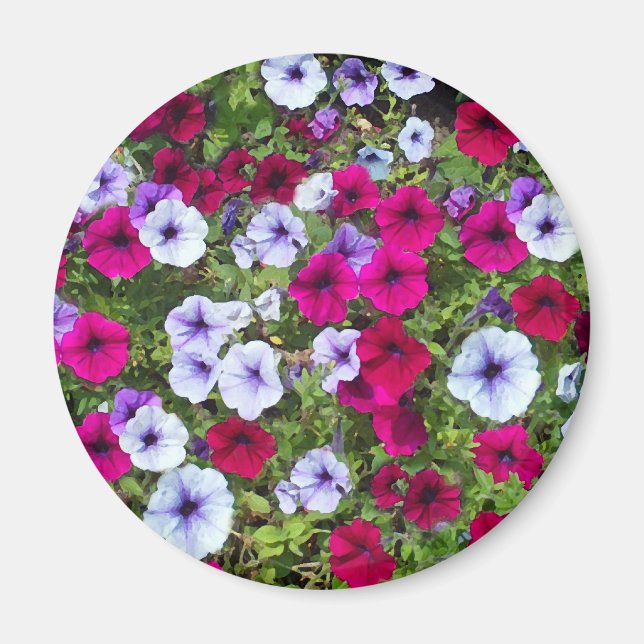 Lila und Lavendel-Blume: Magnet (Vorne)