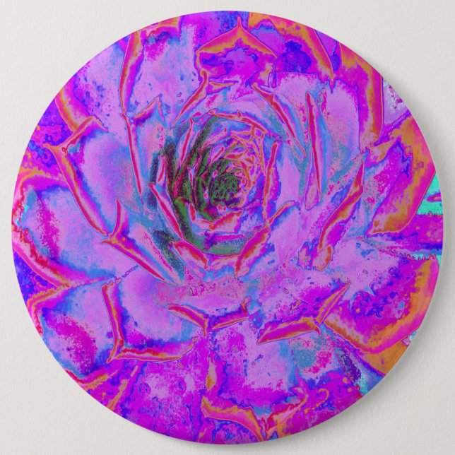 Lila und Magenta Succulent Sedum Rosette Button (Vorderseite)