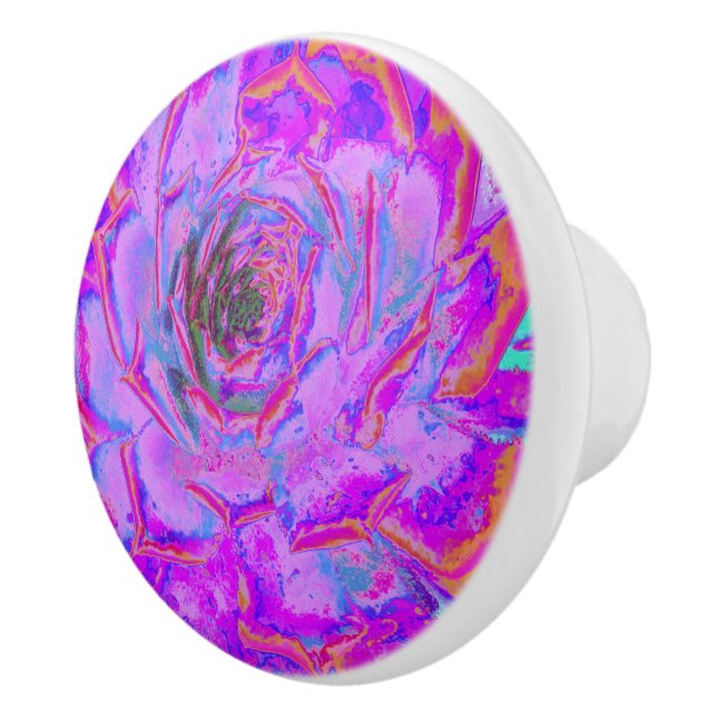 Lila und Magenta Succulent Sedum Rosette Keramikknauf (Rechts)