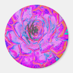 Lila und Magenta Succulent Sedum Rosette Magnet