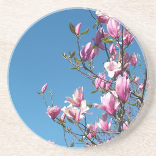 lila und rosa Blume, Magnolien, blauer Himmel Untersetzer