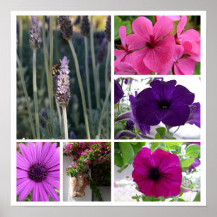 Lila und rosa Blumen Poster