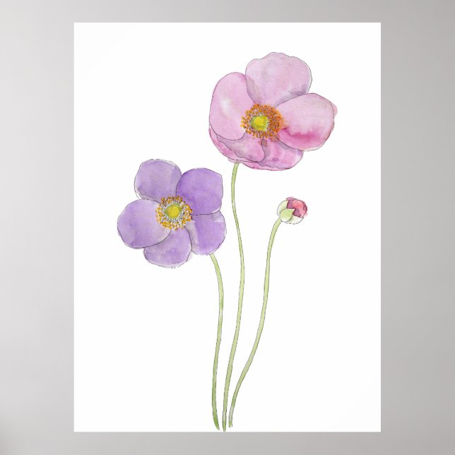 lila und rosa Kosmos-Blume, handgemalt Poster (Vorne)