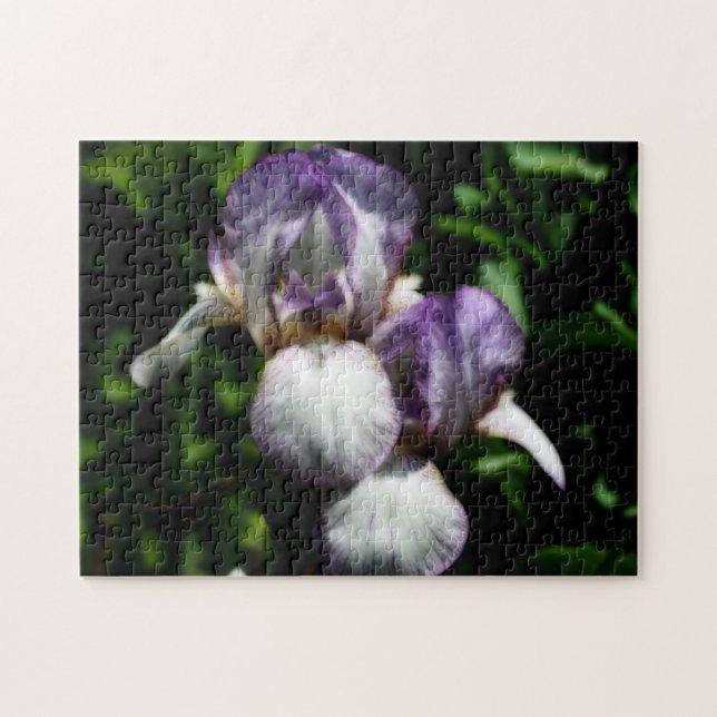 Lila und weiße Blume Iris Puzzle (Horizontal)