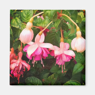 Lila und weiße Blume Magnet