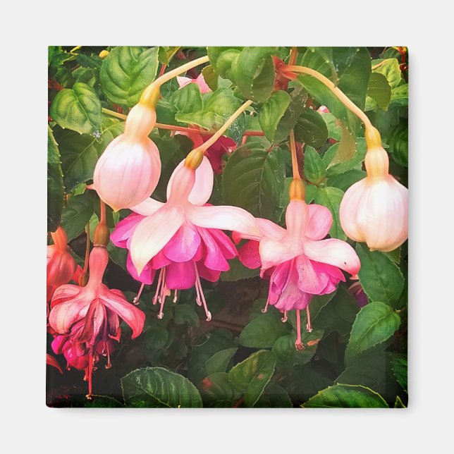Lila und weiße Blume Magnet (Vorne)
