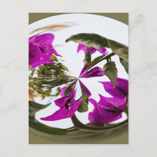 Lila und weiße Blume Orb Postkarte