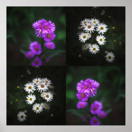 Lila und weiße Blumen Poster