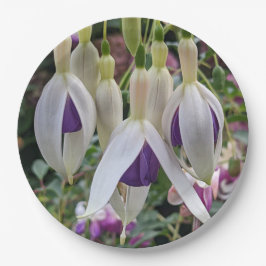 Lila und weiße Fuchsia-Flora Pappteller