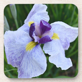 Lila und weiße japanische Iris Floral Getränkeuntersetzer