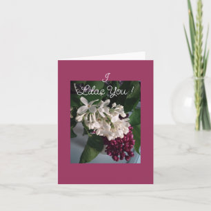 Lila und weiße Lilac-Faltkarte Karte
