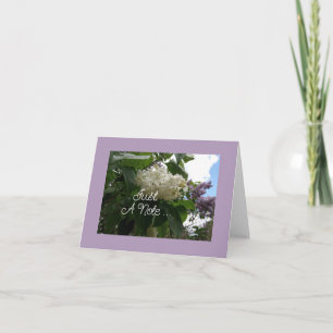 Lila und weiße Lilac-Faltkarte Karte