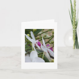 Lila und weiße Moth Orchias Leere Karte