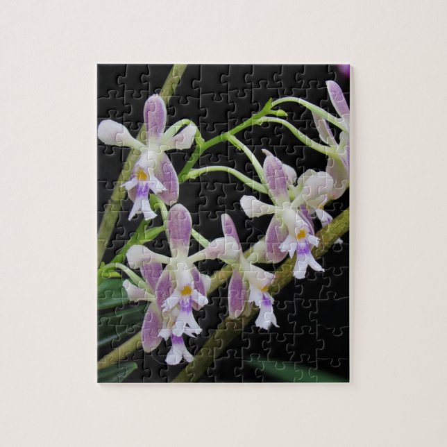 Lila und weiße Orchiale Puzzle (Vertikal)