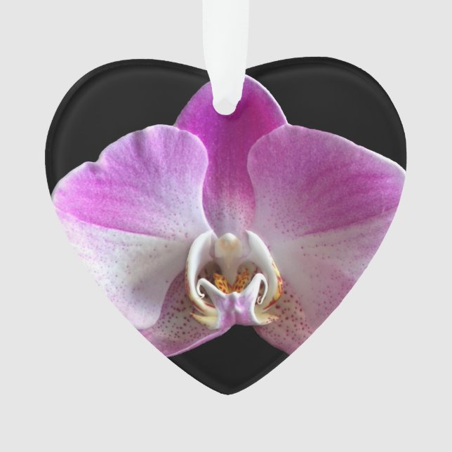 Lila und weiße Orchidee Ornament (Vorderseite)