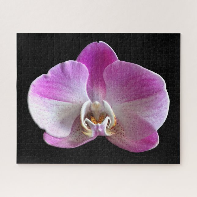 Lila und weiße Orchidee Puzzle (Horizontal)