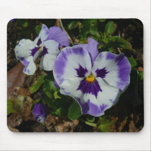 Lila und weiße Stiefmütterchen farbenfroh bläserne Mousepad