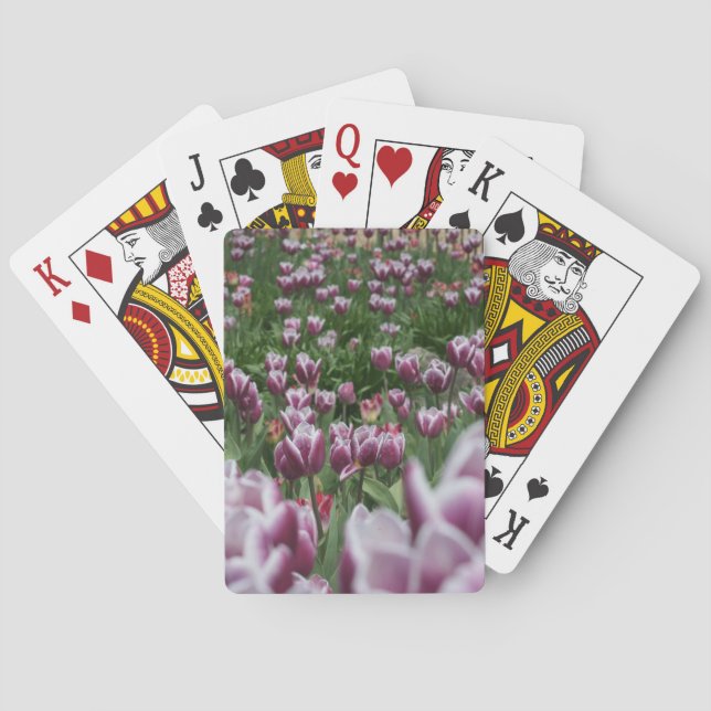 Lila und weiße Tulip Cards Spielkarten (Rückseite)