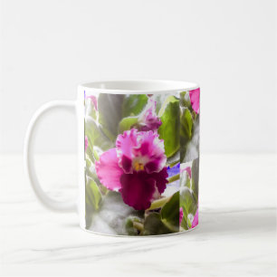 Lila Usambaraveilchen Kaffeetasse