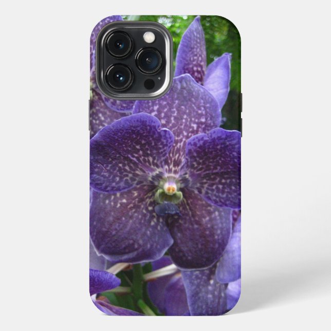 Lila Vanda iPhone 13 Pro Max Hülle (Rückseite)