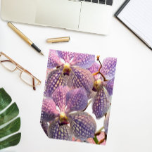 Lila Vanda Orchids Floral