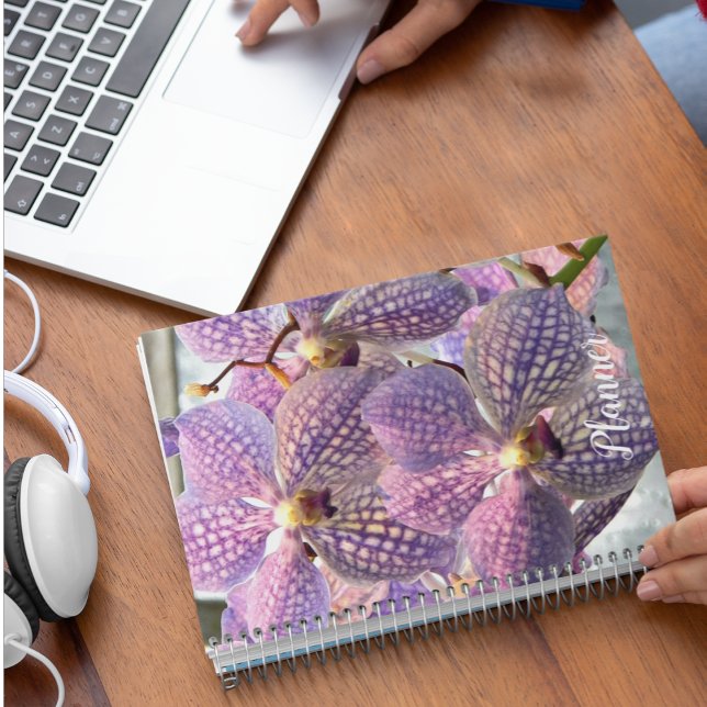 Lila Vanda Orchids Floral Planer (In Situ)