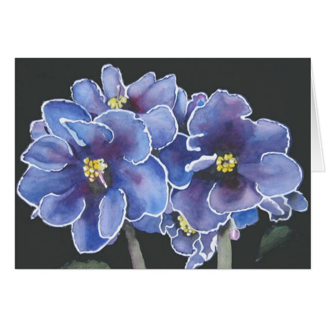 Lila Veilchen (Vorderseite (Horizontal))