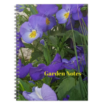 Lila Veilchen in einem Gartengefäß