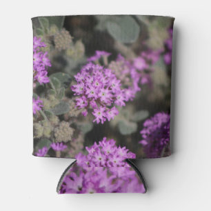 Lila Verbena Coachella Valle Naturpark Dosenkühler