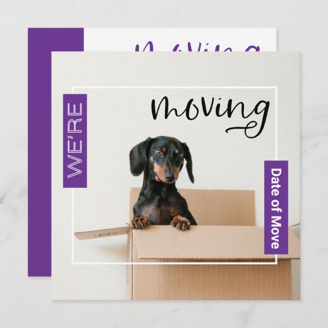 Lila verschieben wir Dackel Hund in Box Card Dankeskarte (Vorne/Hinten)