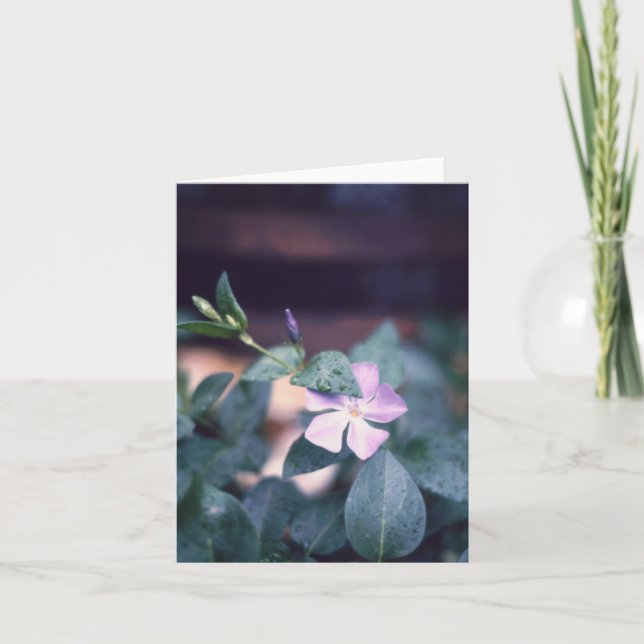 Lila Vinca Blume Notecard Karte (Vorderseite)