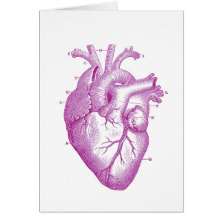 Lila Vintage Herz-Anatomie