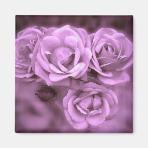 Lila Vintage Rosen Magnet
