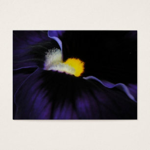 Lila Viola-Makro-ATC 2
